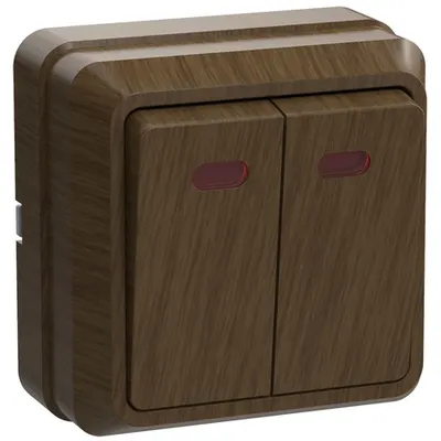 VC20-2-1-OD Dubla -buton Selector with an indicator 10A OKTAVA (oak)
