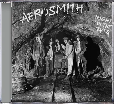 Night In The Ruts