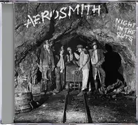 Night In The Ruts