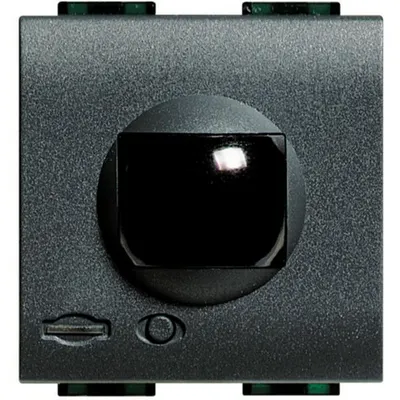 Receptor cu infrarosu actiV LiVinglight MyHOME BUS - pentru telecomanda - antracit