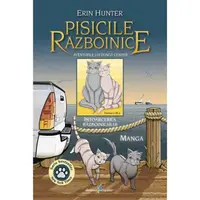 Aventurile lui Dunga Cenusie