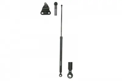 Amortizor portbagaj, haion, spate dreapta, 3 usi, HONDA CIVIC VI Hatchback 1995-2001