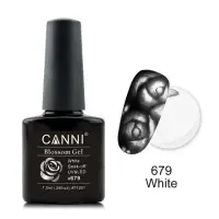 Oja Semipermanenta CANNI Blassom 679 white