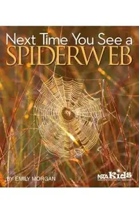 Next Time You See a Spiderweb