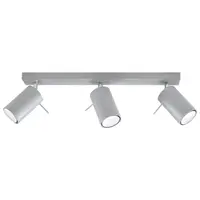 Corp de iluminat pentru tavan RING 3 gri