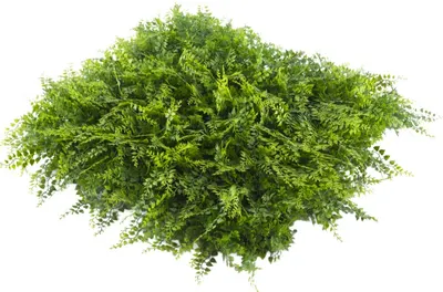 Panou decorativ Inter Ceramic - Green Wall, 50 x 50 x 5 cm