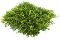 Panou decorativ Inter Ceramic - Green Wall, 50 x 50 x 5 cm