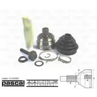 Set articulatie, planetara PASCAL G1A002PC
