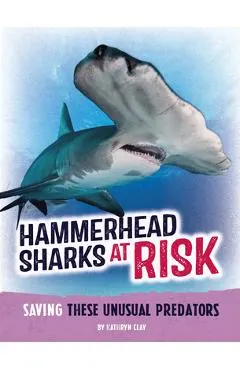 Hammerhead Sharks at Risk: Saving These Unusual Predators