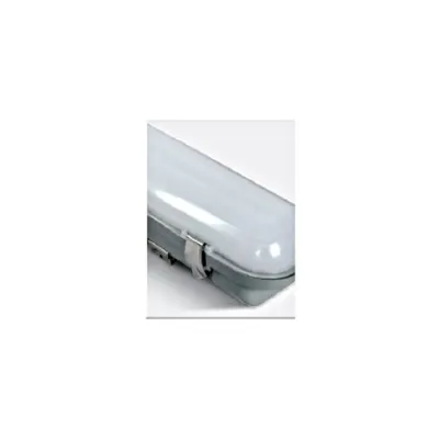Dewy 2 LED 70W 4000K 5600lm 230V IP65 L=1515mm PC/PC gri