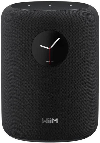 Coloană inteligentă WiiM - Sound, neagră