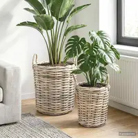 vidaXL Coș de Plante cu depozitare 2 buc. Gri natural Ratan Kubu