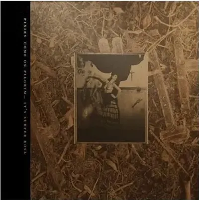 C'mon Pilgrim ... It's Surfer Rosa - Gold Vinyl