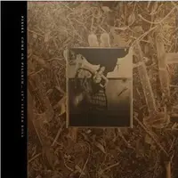 C'mon Pilgrim ... It's Surfer Rosa - Gold Vinyl