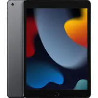 Apple iPad 10.2” (2021) 9th Gen Wifi 256 GB Space Gray Excelent