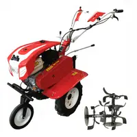 Motocultor Bisonte BTA-900, latime de lucru 560 – 830 mm, adancime 300 mm, motor 7cp