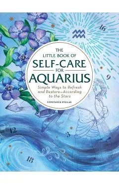 Little Book of Self-Care for Aquarius