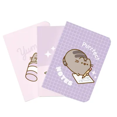 Set 3 Notebooks A5 Pusheen Moments