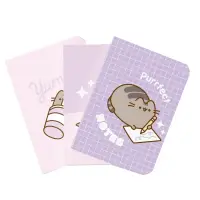 Set 3 Notebooks A5 Pusheen Moments