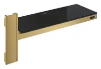 Raft sistem dus Grohe SPA Aqua Pure, 231 x 91 mm, metal/acril, mat, auriu, 101677GN00