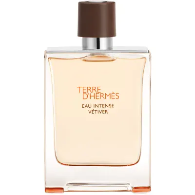 HERMÈS Terre d’Hermès Eau Intense Vétiver Eau de Parfum pentru bărbați 100 ml