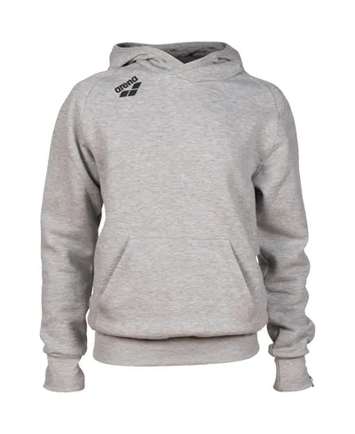 Hanorac sport Arena Junior Team Hooded Sweat Panel