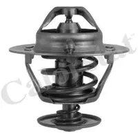 Termostat, lichid racire CALORSTAT by Vernet TH6294.82J