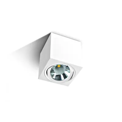 Kanda-S COB LED, 6W, 230V, 3000K 480lm, 36°, IP20, alb