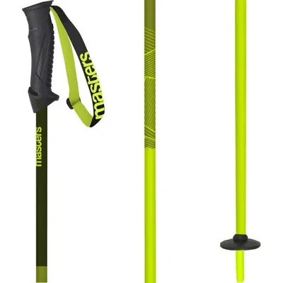 Bețe Schi MASTERS Alpine, Galben/Verde, Unisex