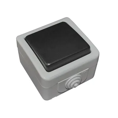 Aparataj gri PT IP54 priza schuko simpla cu capac 16A - gri