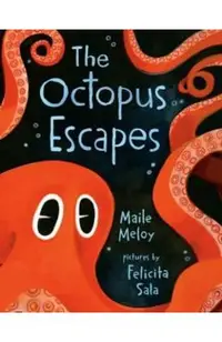 The Octopus Escapes