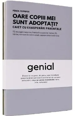 Set de 3 caiete geniale: Instrumente de destresare pentru capul familiei