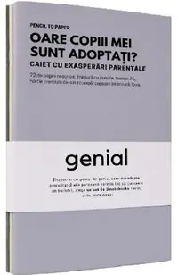 Set de 3 caiete geniale: Instrumente de destresare pentru capul familiei