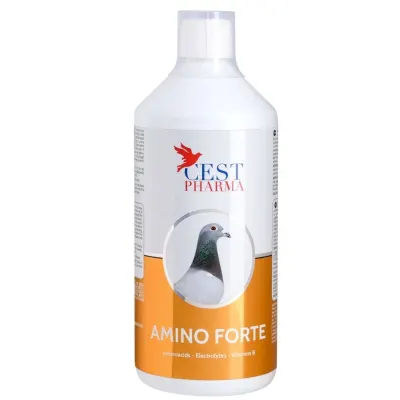 Supliment pentru porumbei, Amino Forte, Cest Pharma 1000ml