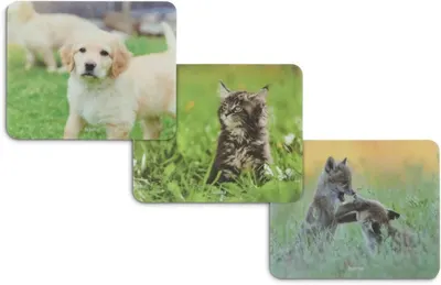 Mousepad Hama – Animal, 22 x 18 cm, sortiment
