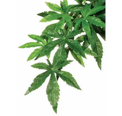 Exo Terra Planta Abutilon Small, 40 Cm