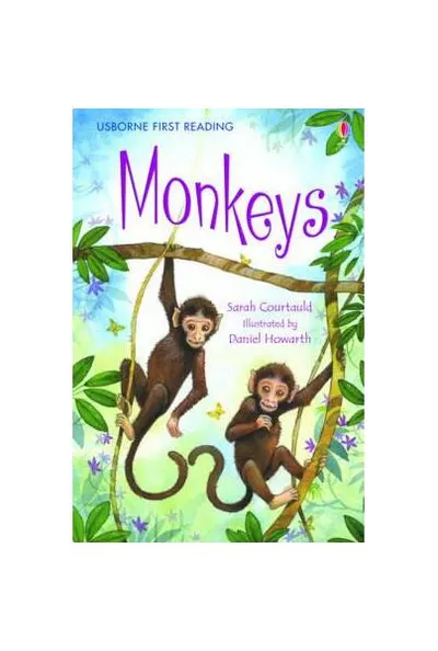 Monkeys - Paperback brosat - Sarah Courtauld