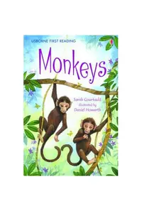 Monkeys - Paperback brosat - Sarah Courtauld
