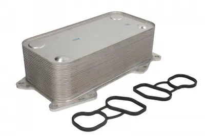 Radiator ulei (120x69x250mm, numar nervuri: 20) potrivit VOLVO FE, FE II, FL II, FL III D7E240 D7F240 05.06