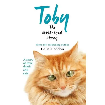 Toby The Cross-Eyed Stray