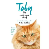 Toby The Cross-Eyed Stray