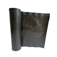 Folie Agrotextil 1 m x 25 m (5 lei mp) 25 m, Patrate