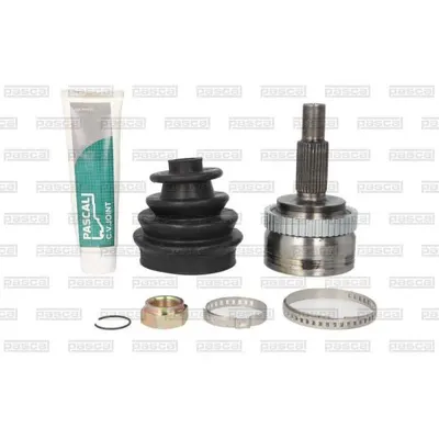 Set articulatie, planetara PASCAL G1R038PC