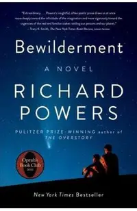 Bewilderment