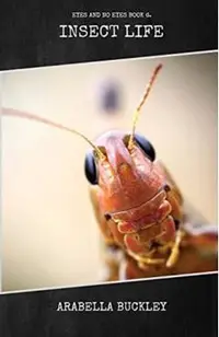Insect Life