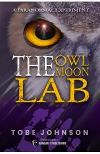 The Owl Moon Lab: A Paranormal Experiment