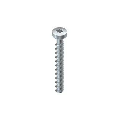 Ancora cu surub Nr. aprobare: ETA 15/0784, cu cap rotund plat si antrenare torx T30 NSA 6X35/FKK-T30 V