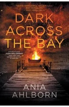 Dark Across the Bay