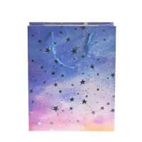 Punga de cadou multicolora cu stele 26 x 32 cm
