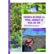 Taierea blanda la pomi, arbusti si vita-de-vie